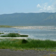 Lago Bogoria, en el Valle del Rift, Tanzania. Foto: Wikimedia Commons.